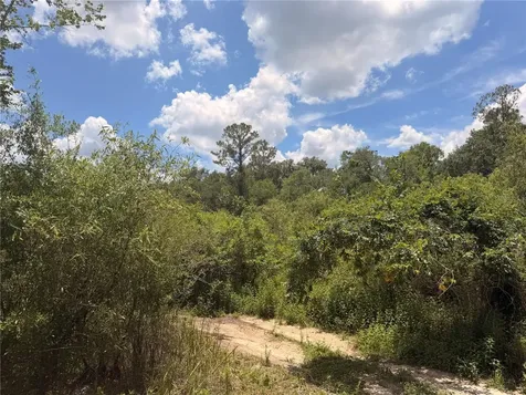Lot 3 Chipstone Street Webster FL 33597