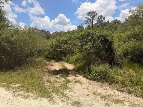 Lot 3 Chipstone Street Webster FL 33597