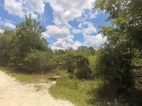 Lot 3 Chipstone Street Webster FL 33597