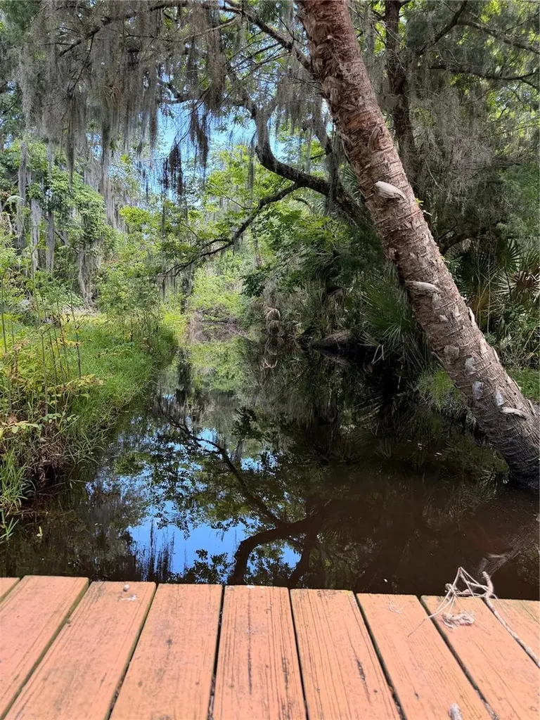 697 Eagle Watch Road Oak Hill FL 32759