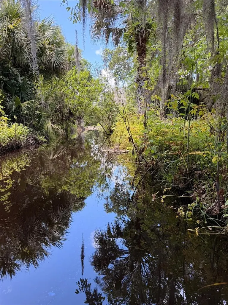 697 Eagle Watch Road Oak Hill FL 32759