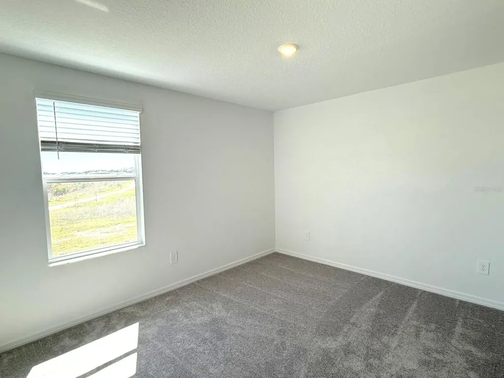 2081 Hallier Cove Wesley Chapel FL 33543