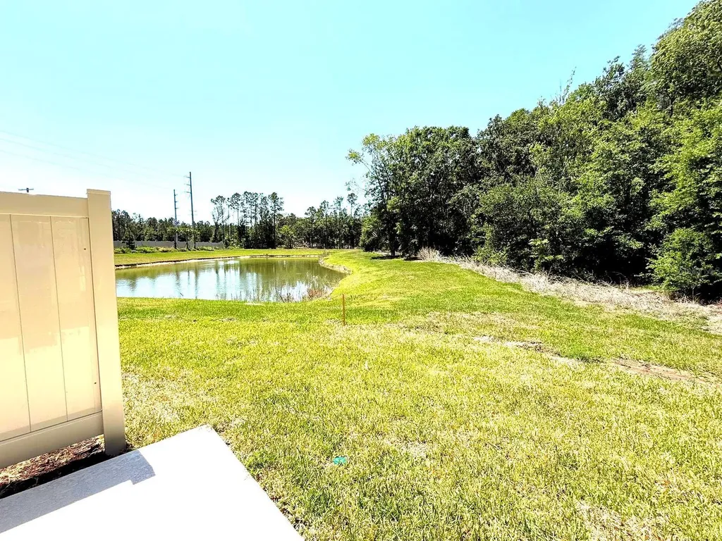 2081 Hallier Cove Wesley Chapel FL 33543