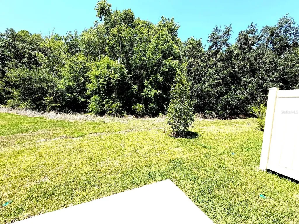 2081 Hallier Cove Wesley Chapel FL 33543
