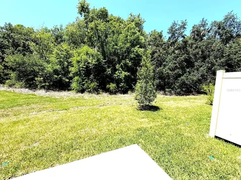 2081 Hallier Cove Wesley Chapel FL 33543