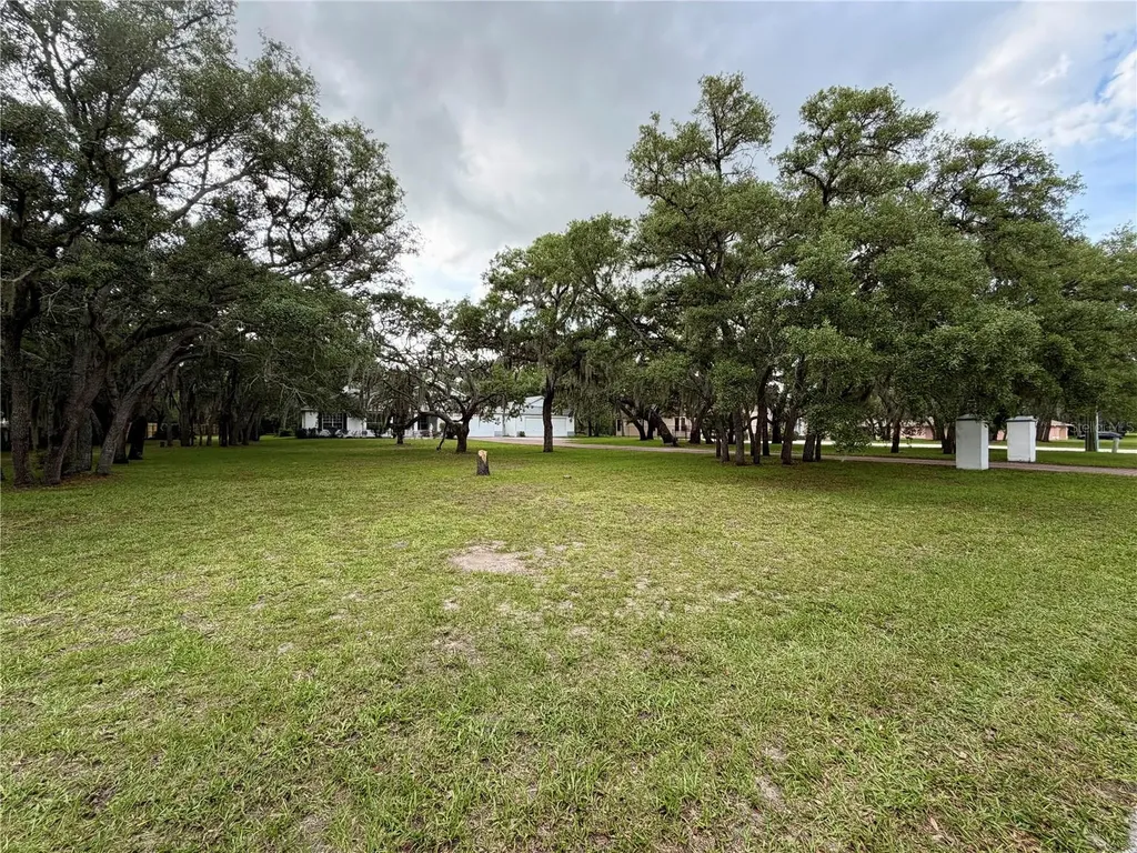 18749 Lansford Drive Hudson FL 34667