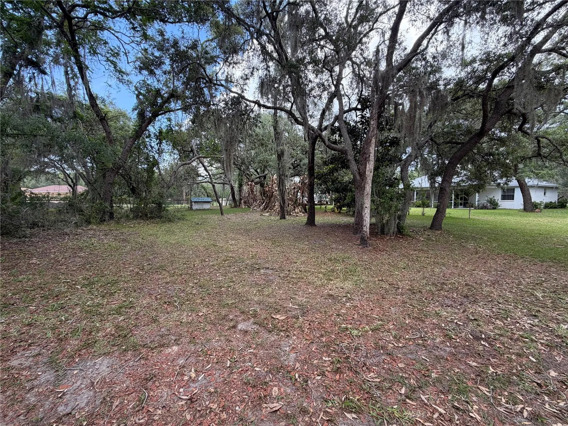 18749 Lansford Drive Hudson FL 34667
