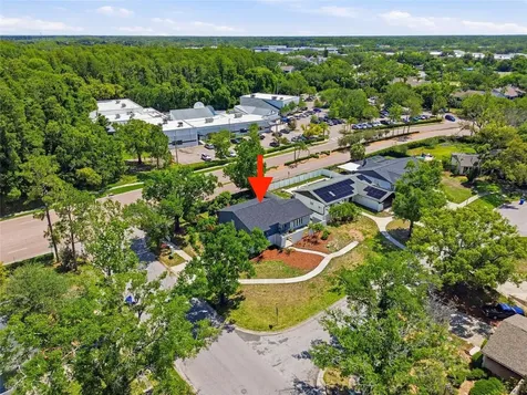 3909 Willowtree Place Tampa FL 33624