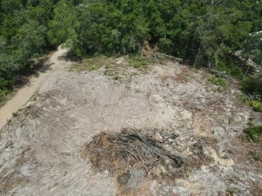 Z SE 143rd Lane Umatilla FL 32784