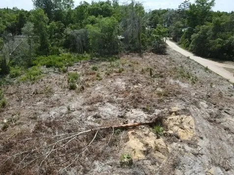 Z SE 143rd Lane Umatilla FL 32784