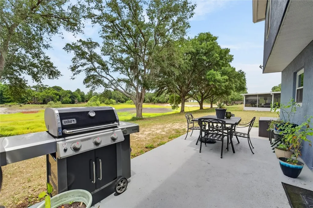 1201 Dragon Head Drive Valrico FL 33594