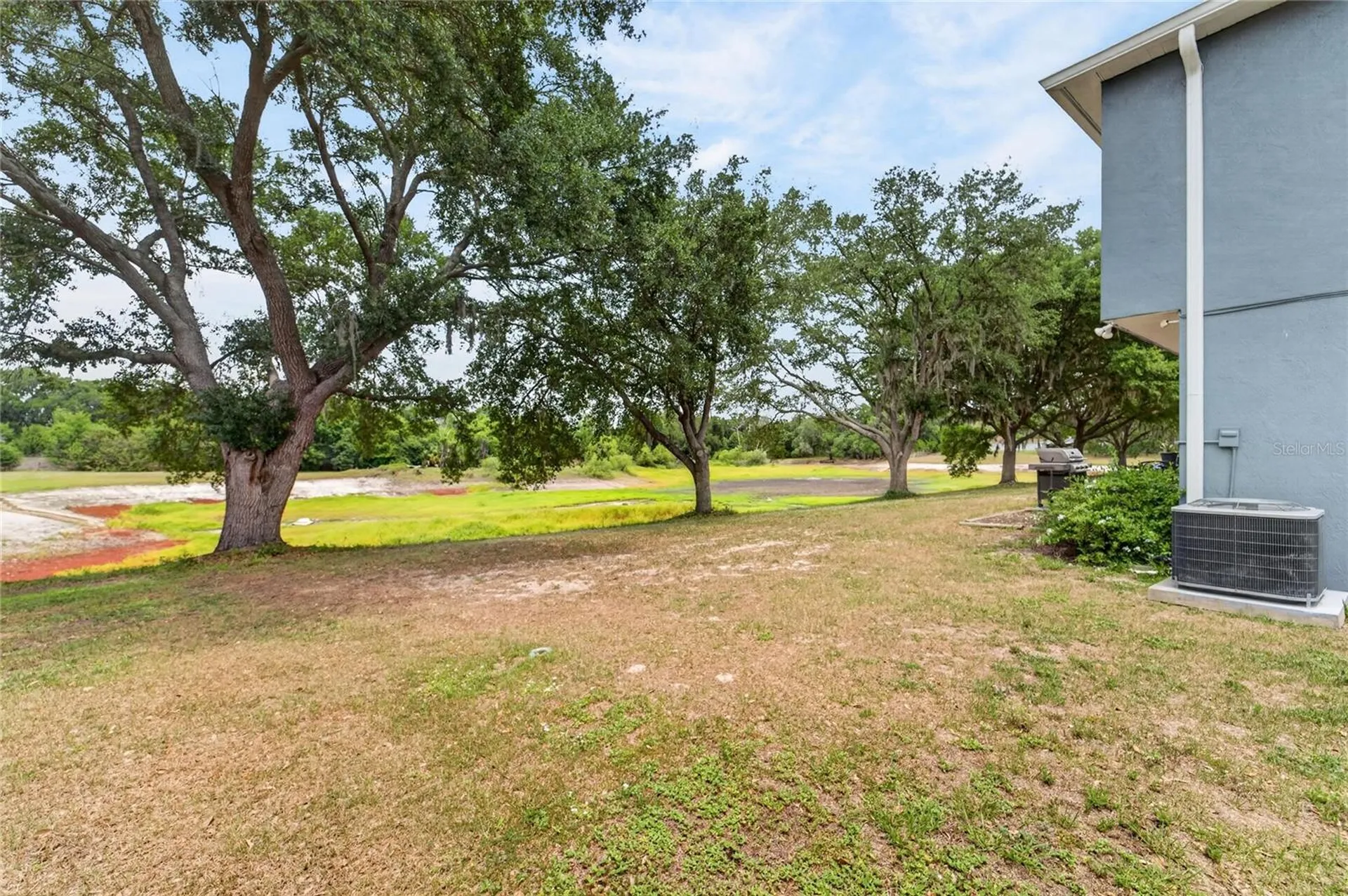 1201 Dragon Head Drive Valrico FL 33594