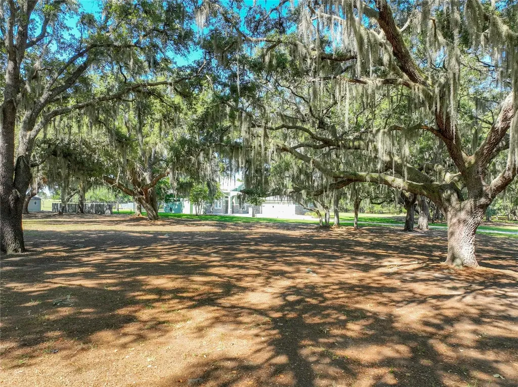 Trotting Horse Lane Tavares FL 32778