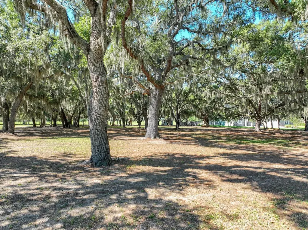 Trotting Horse Lane Tavares FL 32778
