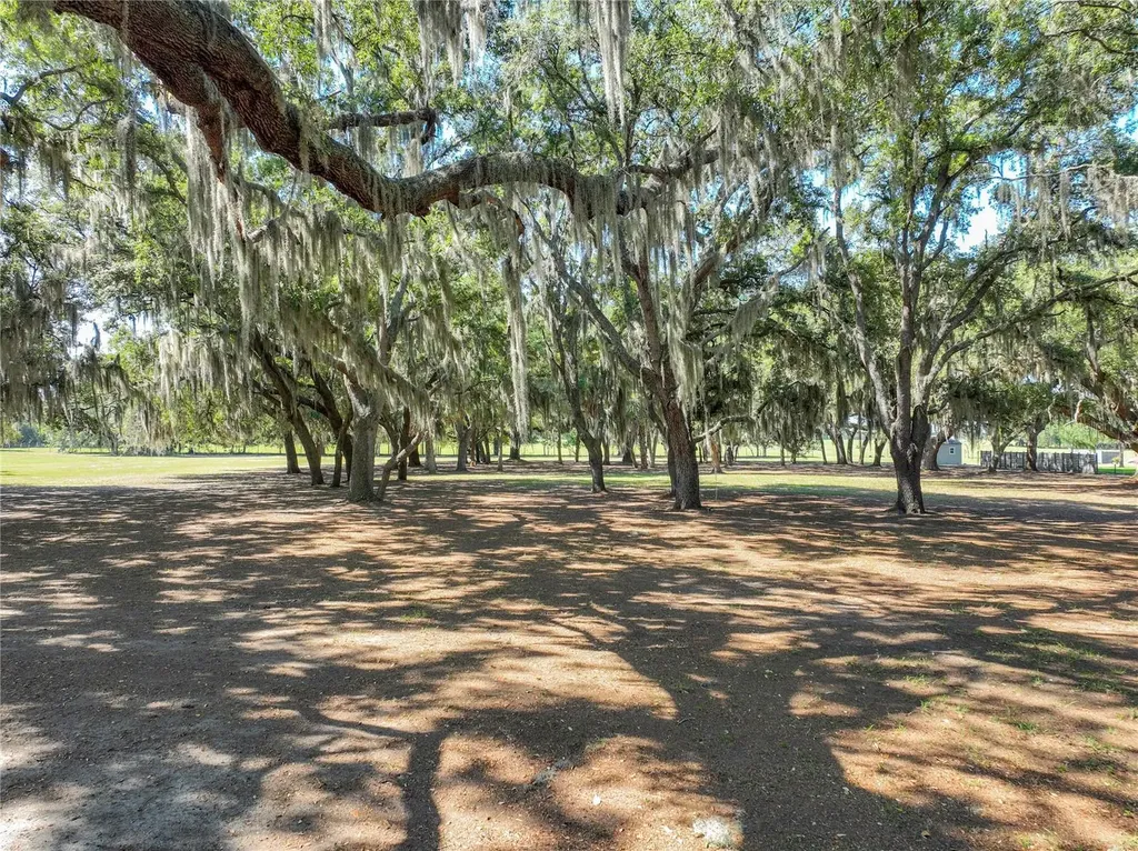 Trotting Horse Lane Tavares FL 32778