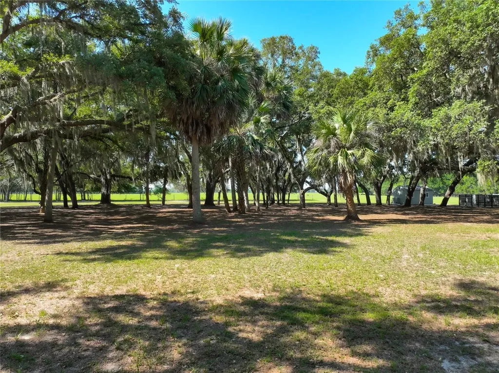 Trotting Horse Lane Tavares FL 32778