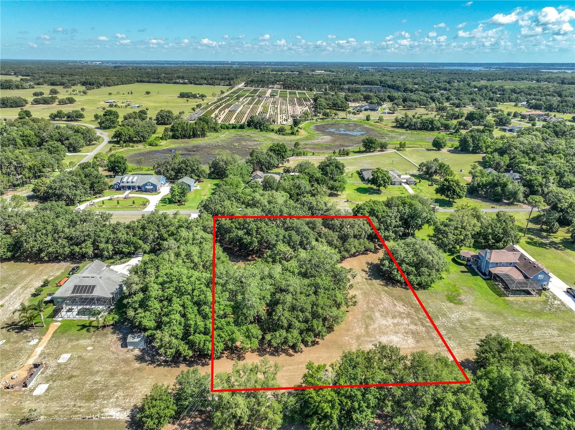 Trotting Horse Lane Tavares FL 32778