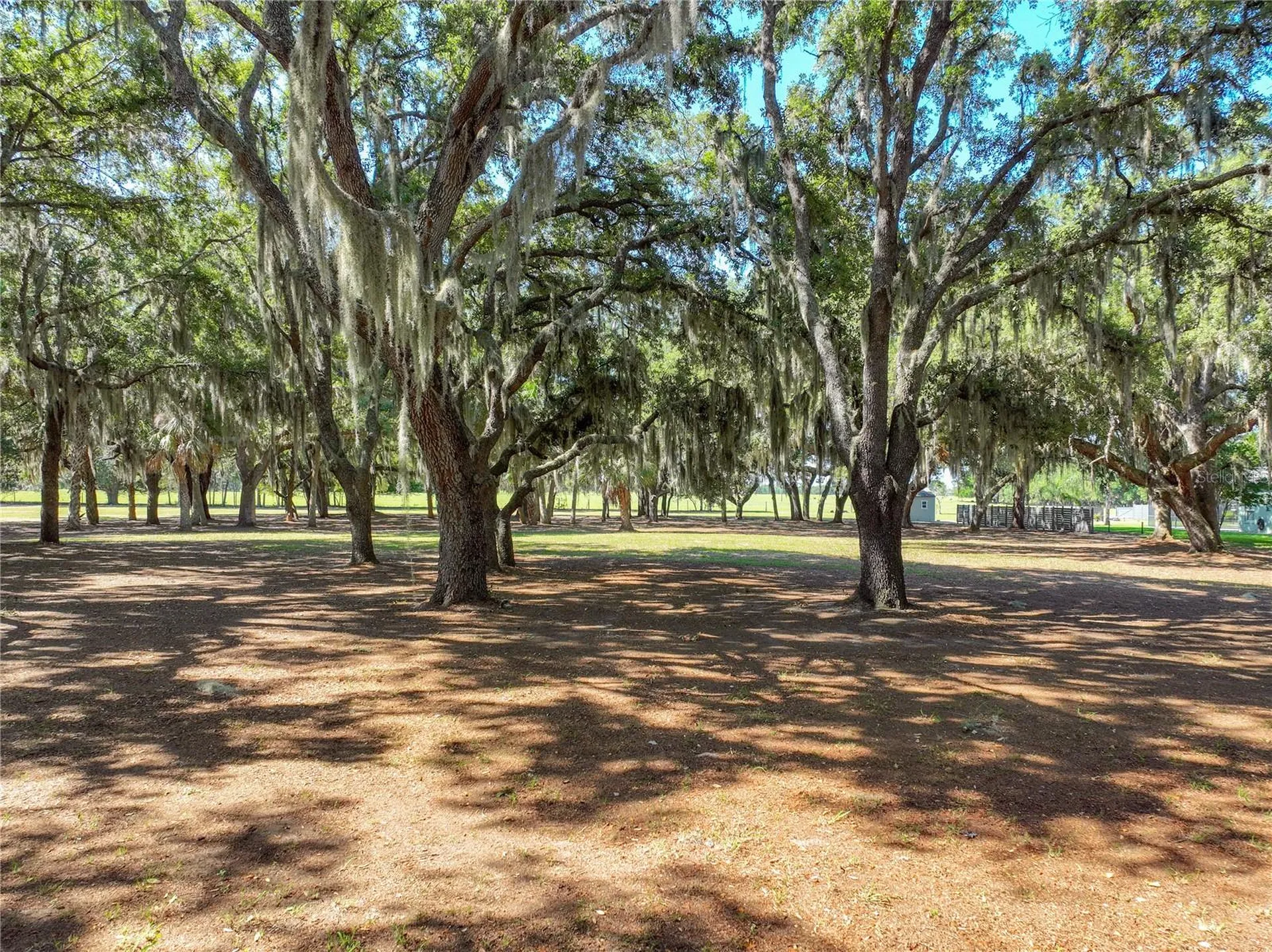 Trotting Horse Lane Tavares FL 32778