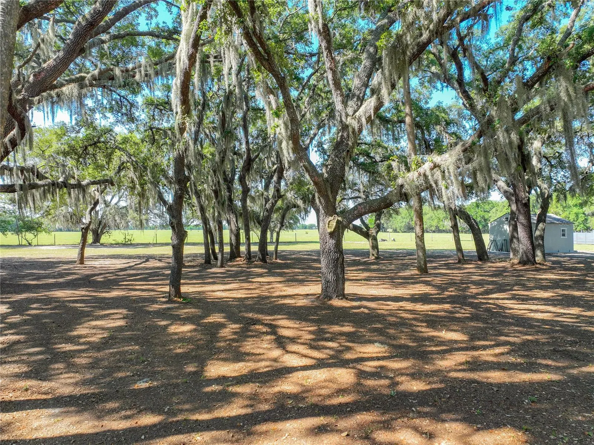 Trotting Horse Lane Tavares FL 32778