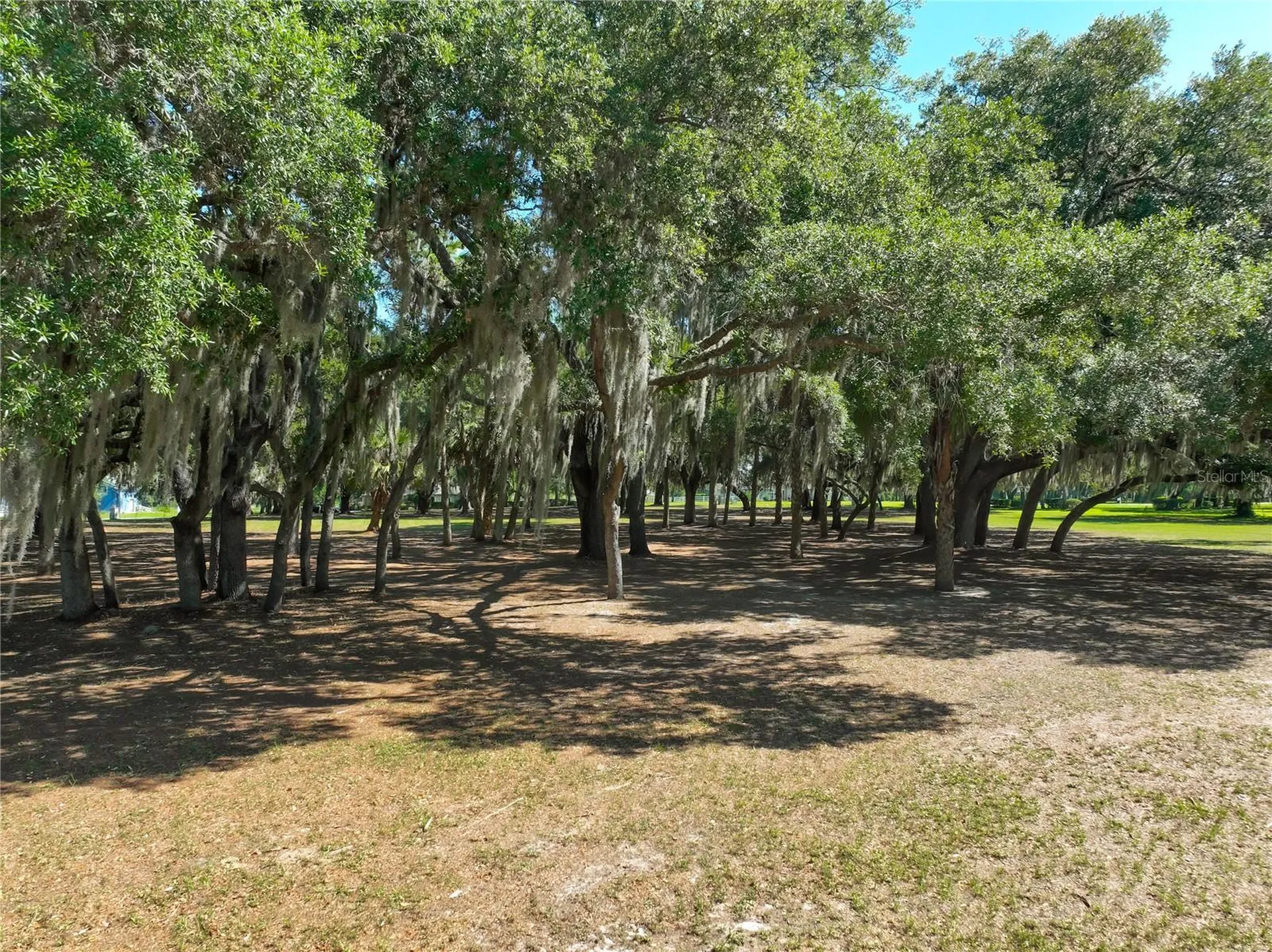 Trotting Horse Lane Tavares FL 32778