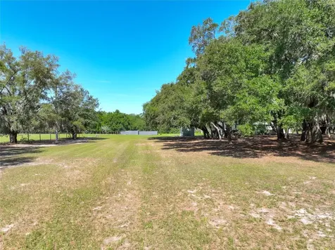 Trotting Horse Lane Tavares FL 32778