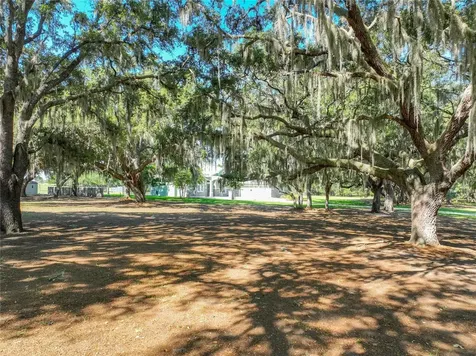 Trotting Horse Lane Tavares FL 32778