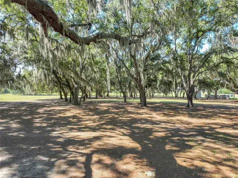 Trotting Horse Lane Tavares FL 32778