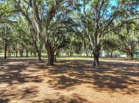 Trotting Horse Lane Tavares FL 32778