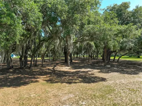 Trotting Horse Lane Tavares FL 32778