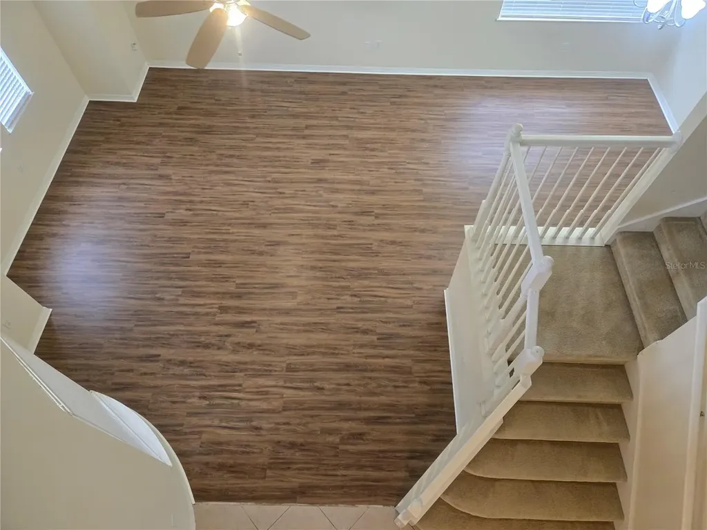 1125 Lascala Drive Windermere FL 34786