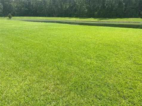 1125 Lascala Drive Windermere FL 34786