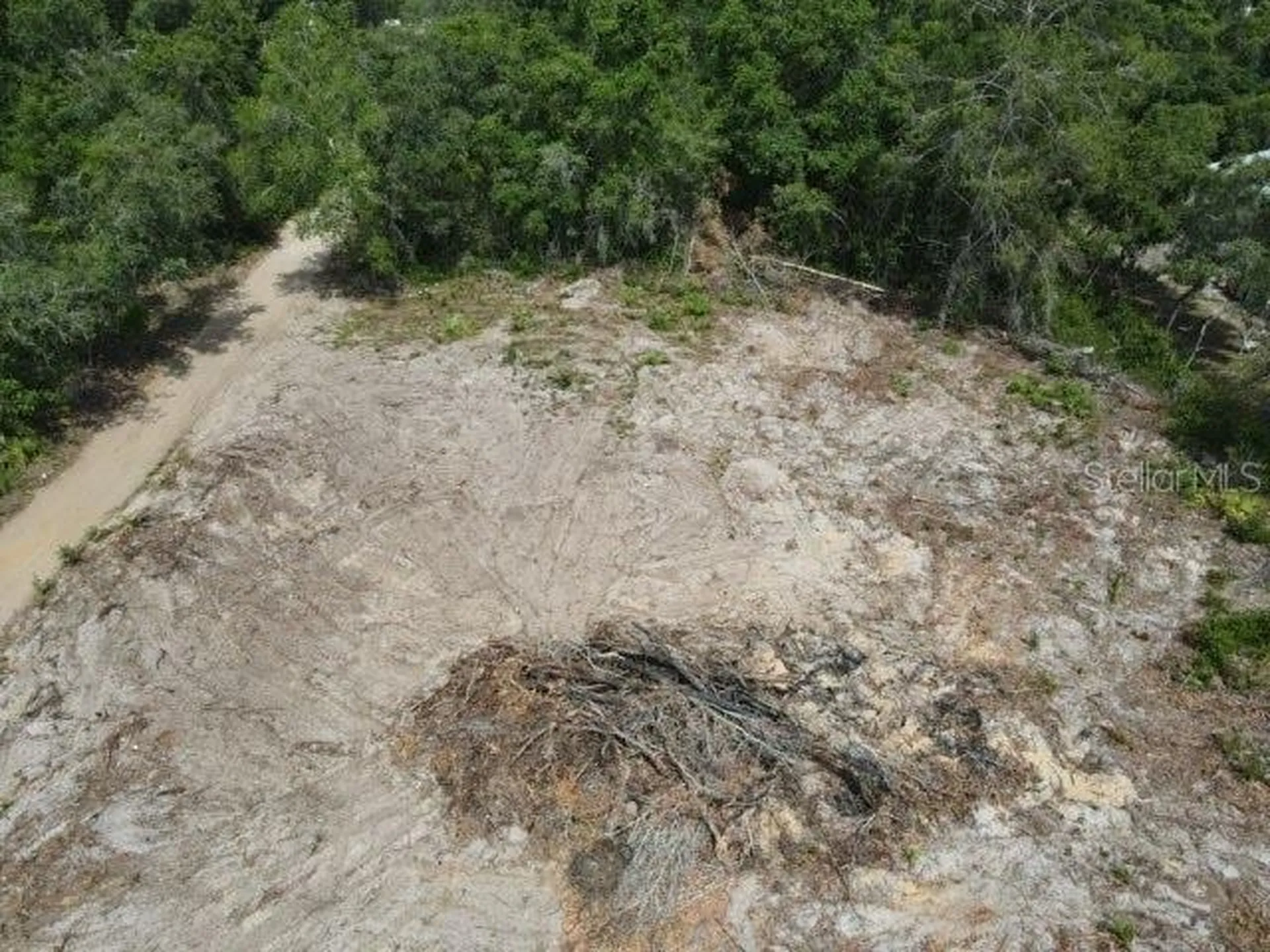X SE 143rd Lane Umatilla FL 32784