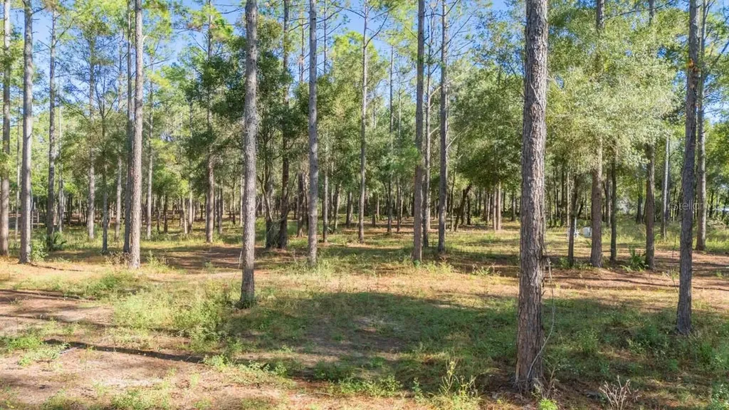 24238 Deep Springs Loop Eustis FL 32736