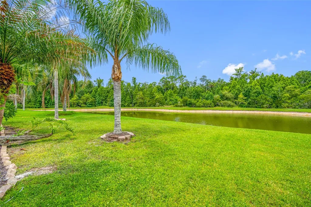 25147 Geddy Drive Land O Lakes FL 34639