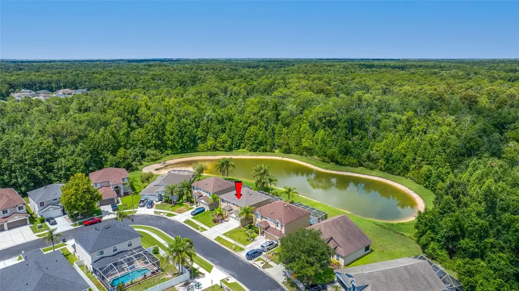 25147 Geddy Drive Land O Lakes FL 34639