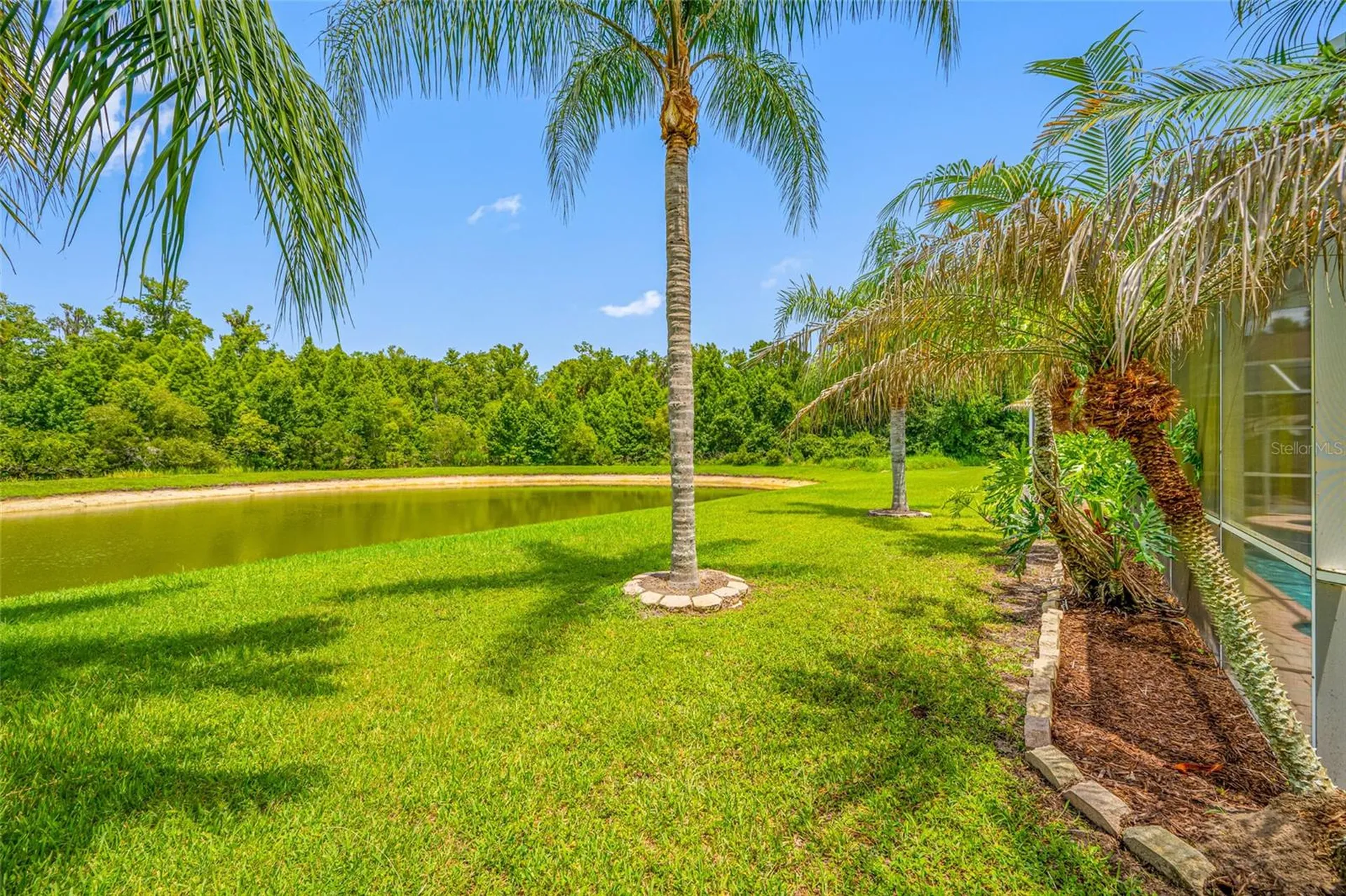 25147 Geddy Drive Land O Lakes FL 34639