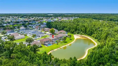 25147 Geddy Drive Land O Lakes FL 34639