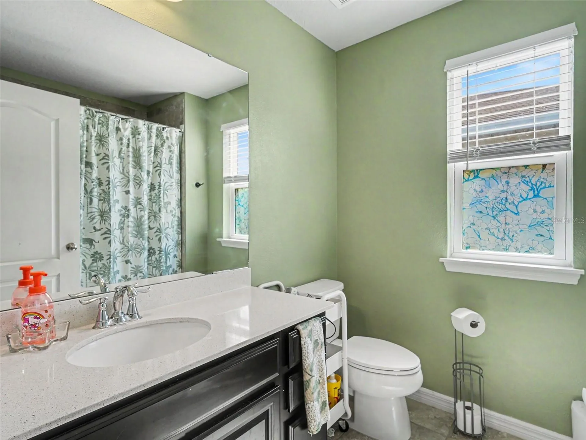 11609 Fringetree Court Riverview FL 33579