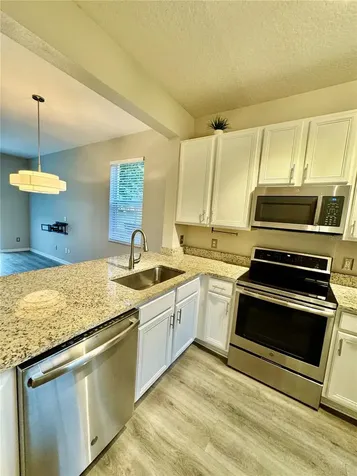 1161 Long Oak Way Sanford FL 32771