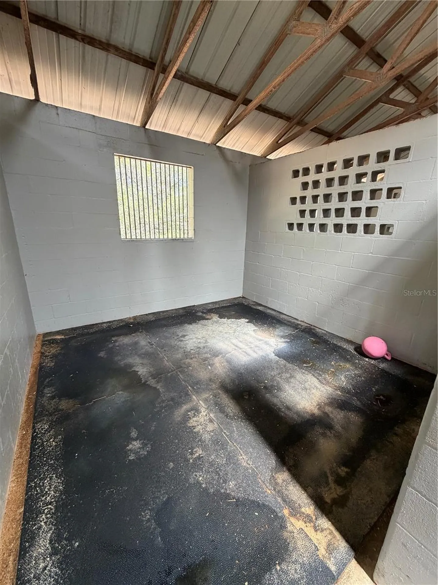 4251 NE 136th Avenue Williston FL 32696