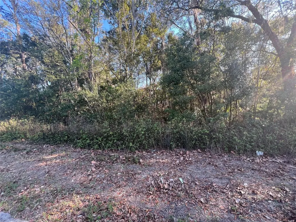 NE 14th Street Ocala FL 34470