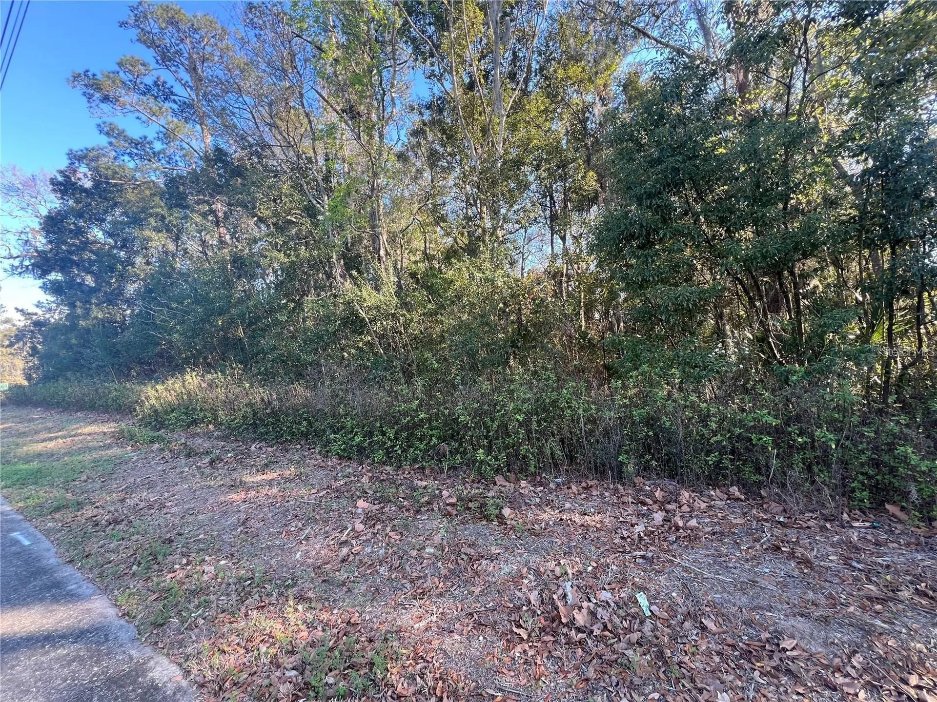 NE 14th Street Ocala FL 34470