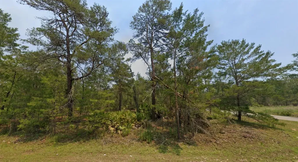 Malauka Lane Ocklawaha FL 32179
