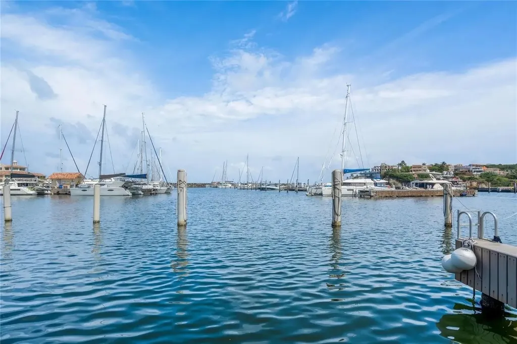 69 Isla San Miguel Humacao PR 00791