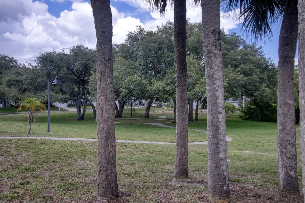 957 Edgehill Drive Palm Harbor FL 34684