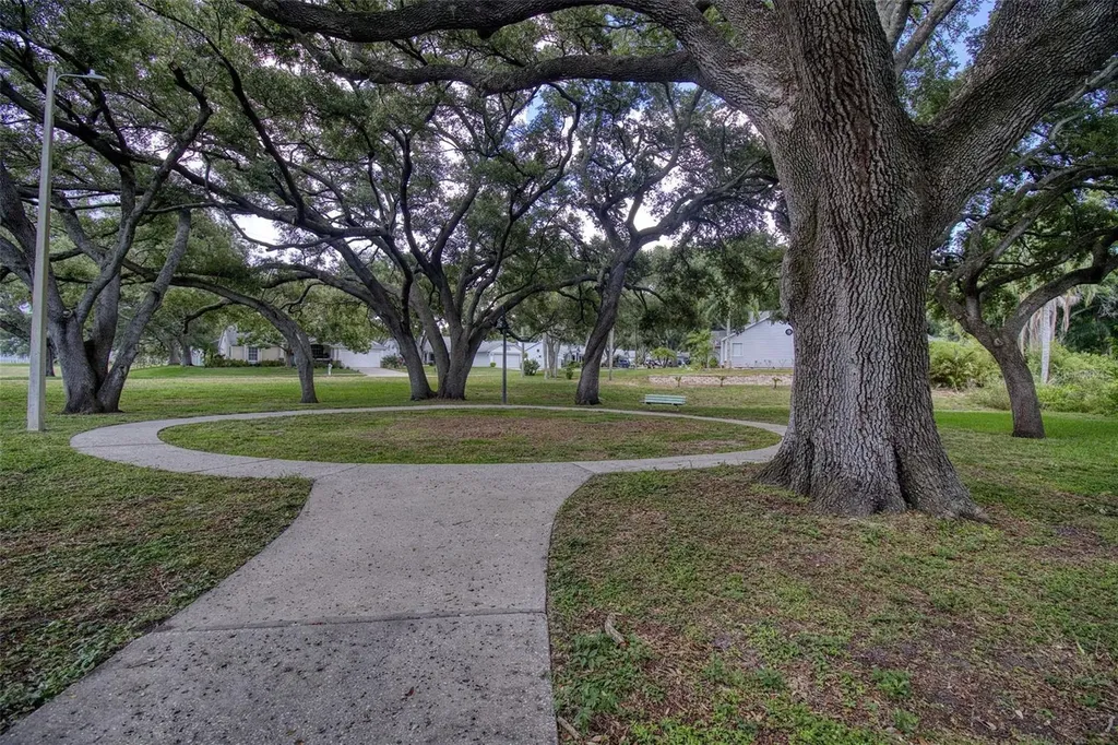 957 Edgehill Drive Palm Harbor FL 34684