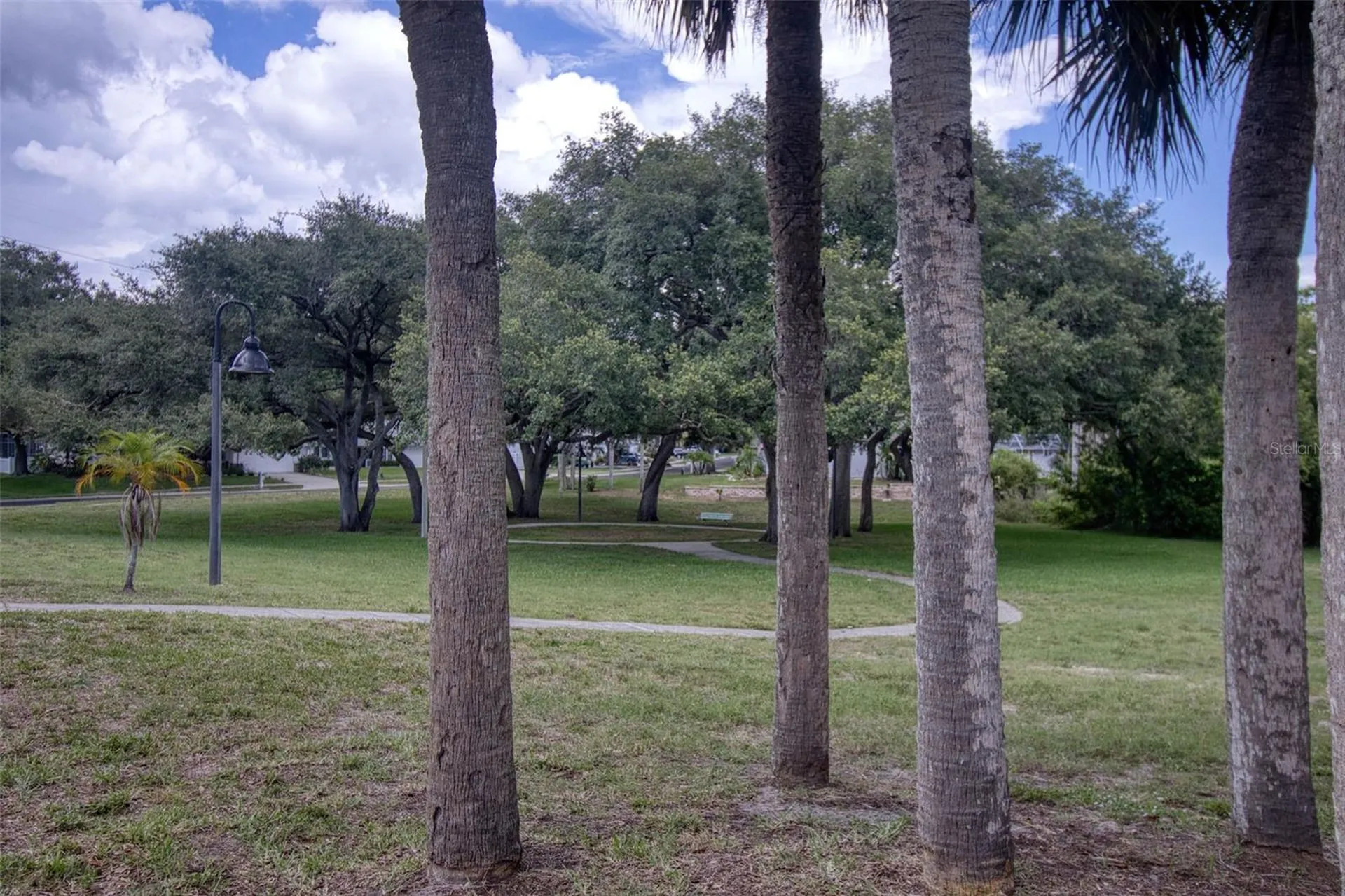 957 Edgehill Drive Palm Harbor FL 34684