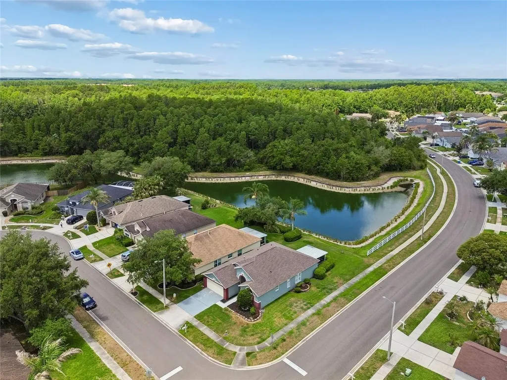 30600 Nickerson Loop Wesley Chapel FL 33543