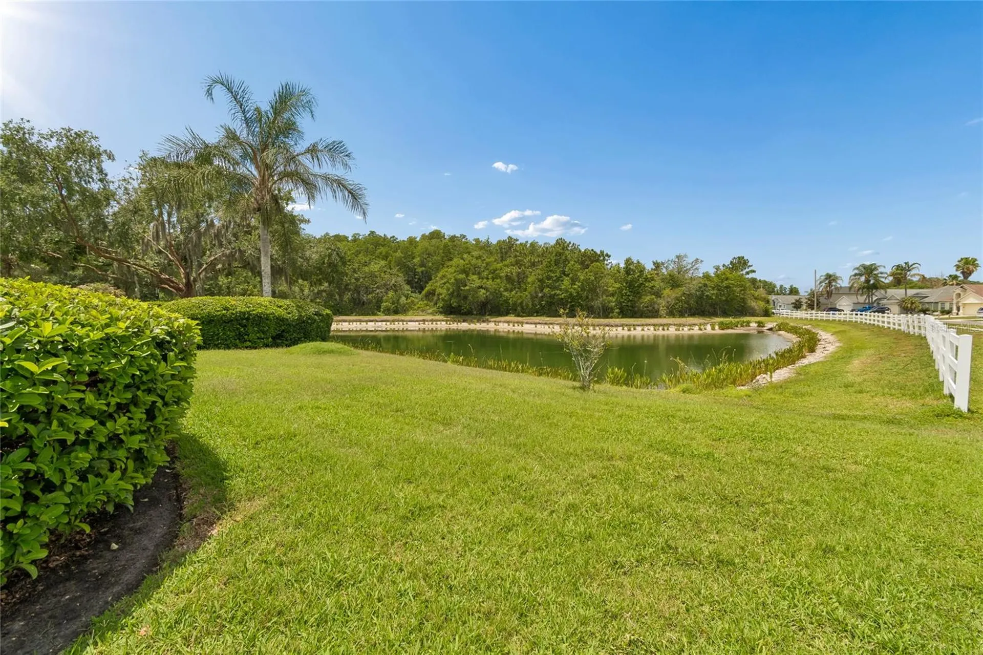 30600 Nickerson Loop Wesley Chapel FL 33543