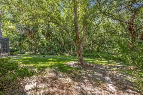 5018 Sterling Manor Drive Tampa FL 33647